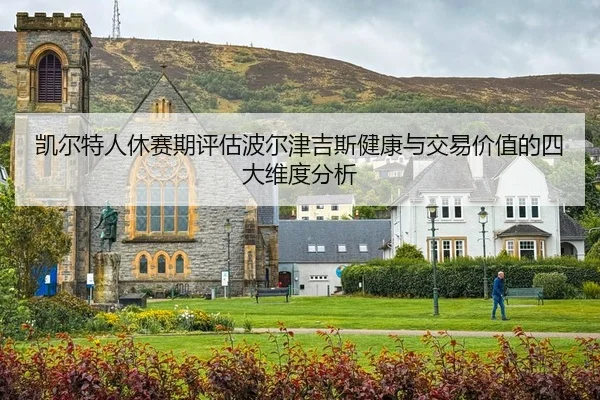 凯尔特人休赛期评估波尔津吉斯健康与交易价值的四大维度分析